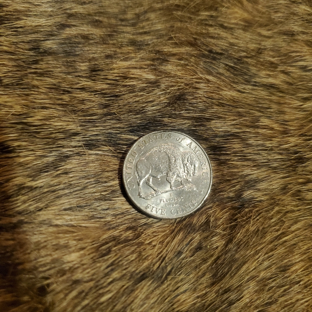 2005 buffalo nickel